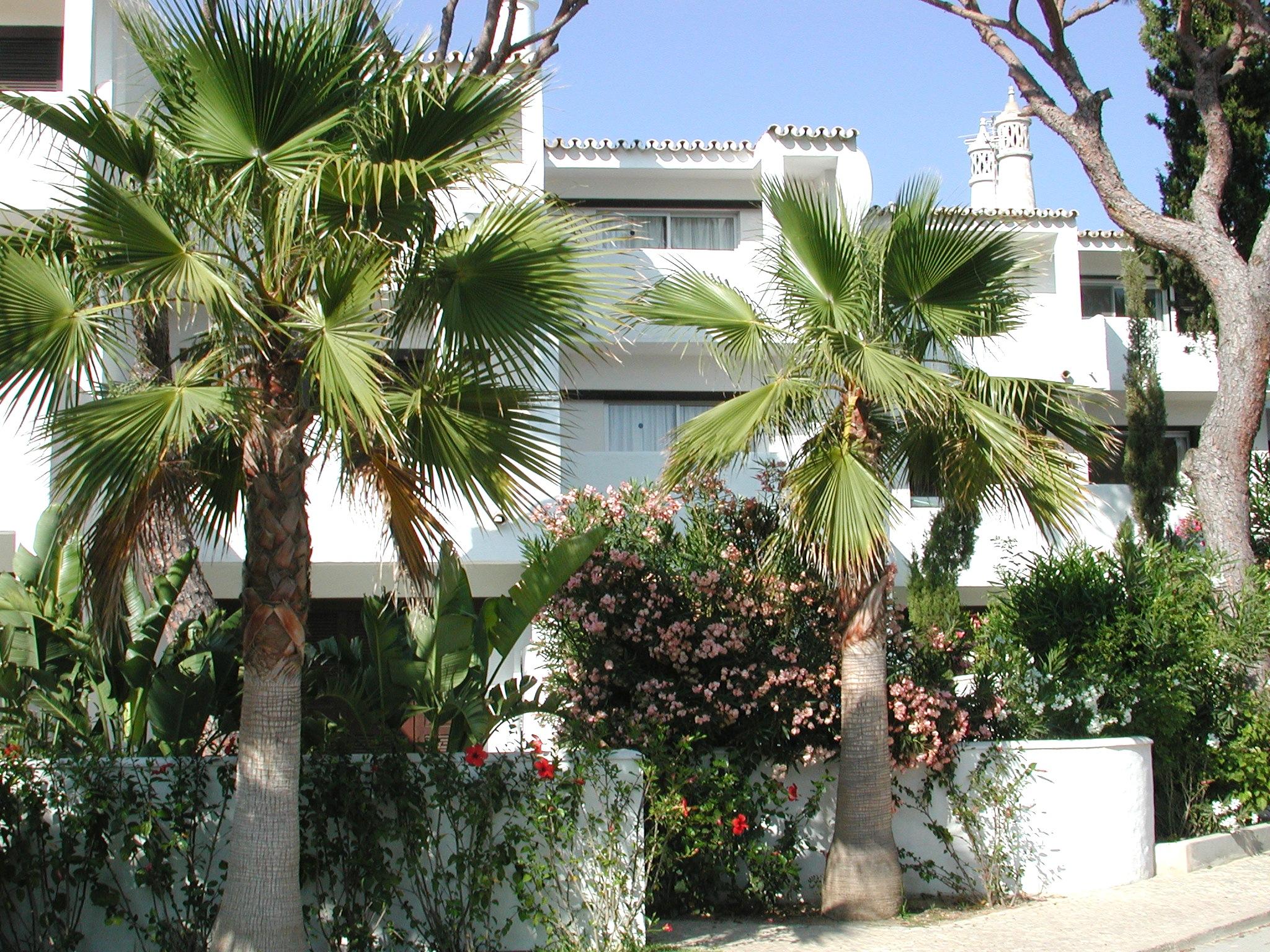 Vale Do Garrao Villas Almancil Exterior foto